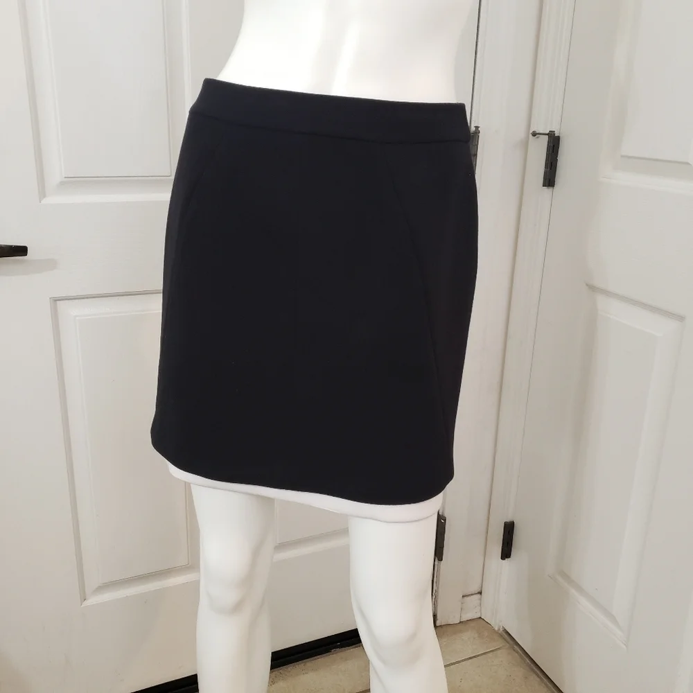 Banana Republic Size 2 Elegant Black Women's Skirt
